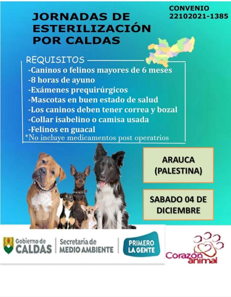 esterilizacion palestina