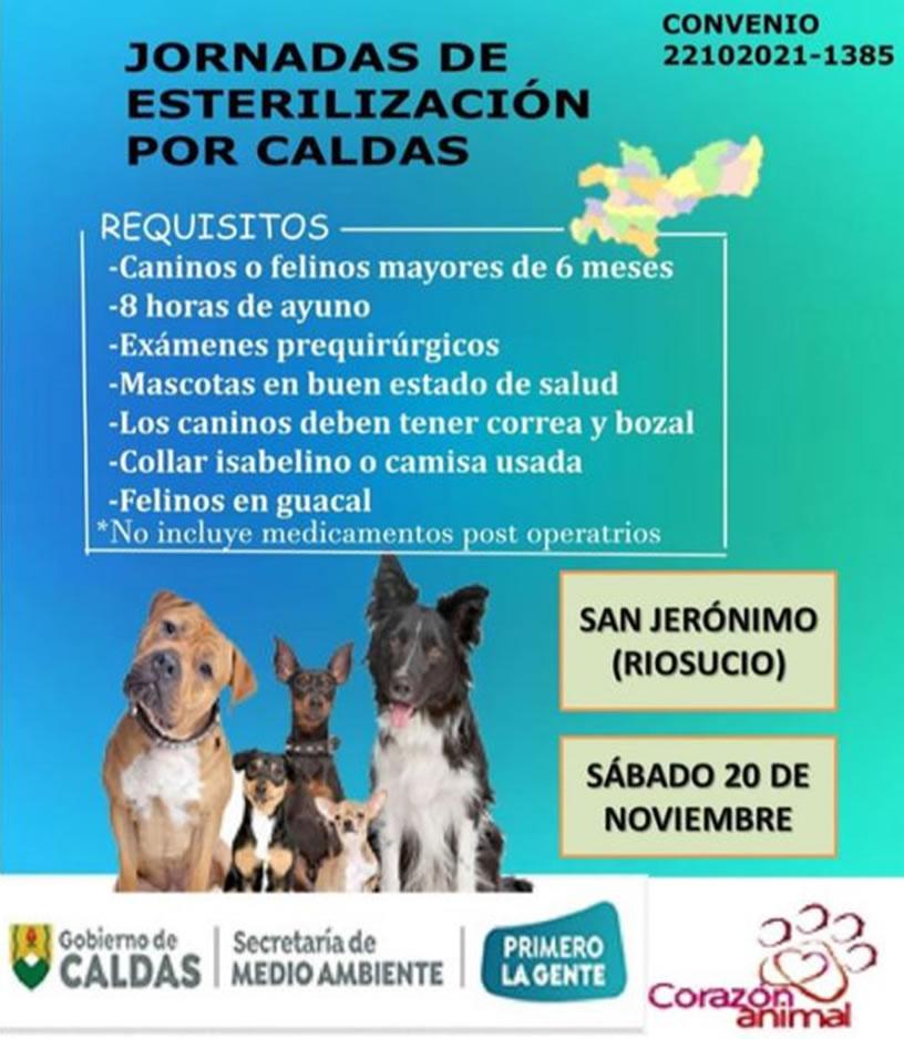 esterilizacion san jeronimo