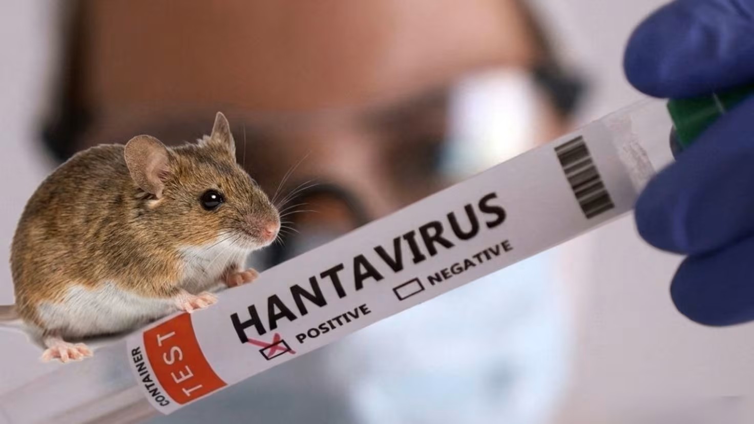 Territorial de Salud de Caldas brinda recomendaciones sobre el hantavirus y precisa que no hay casos reportados en el departamento