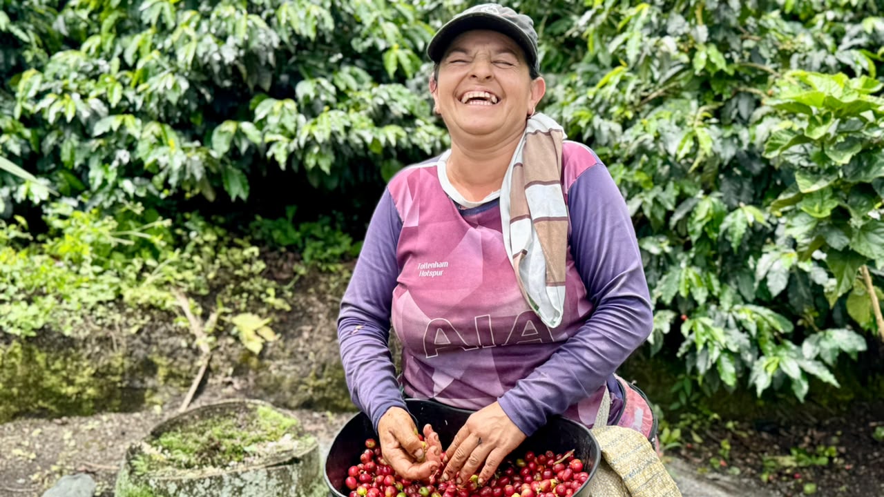 El Paisaje Cultural Cafetero celebrara 15 anos como Patrimonio Mundial: Caldas propiciara encuentro regional