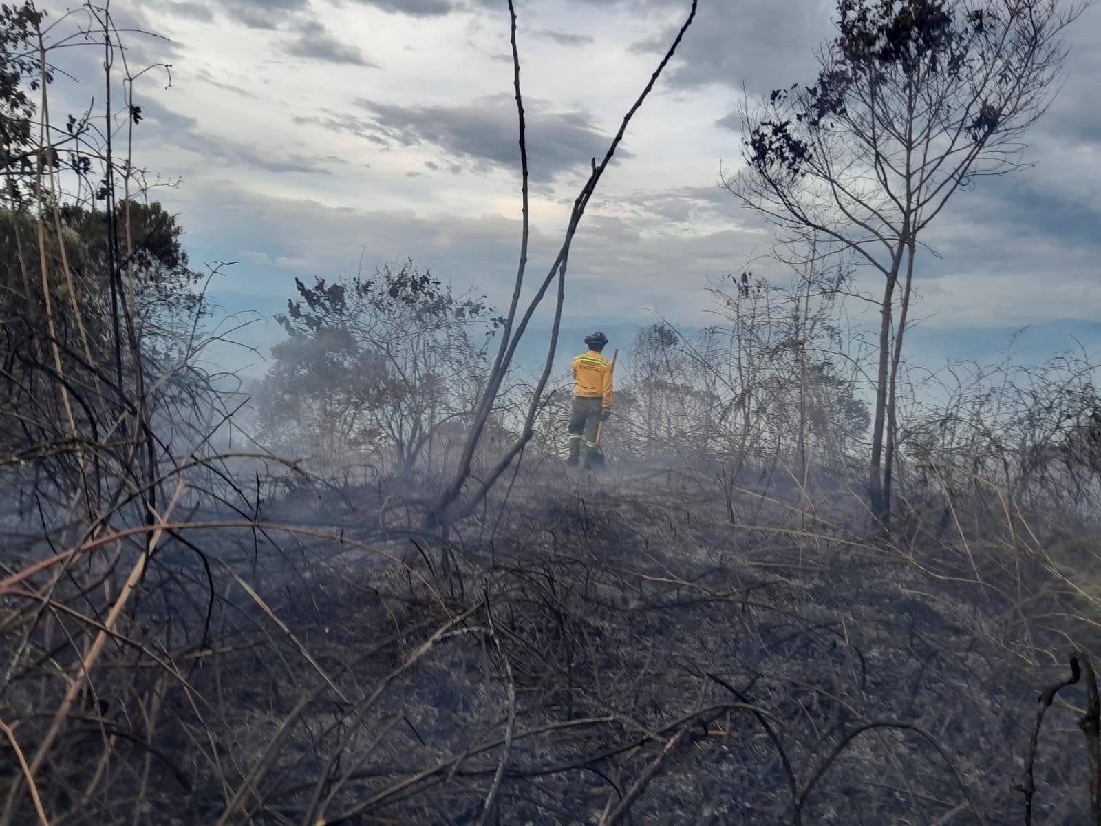 Jefatura de Gestion del Riesgo refuerza el llamado a prevenir incendios forestales en Caldas: van 81 en tres meses