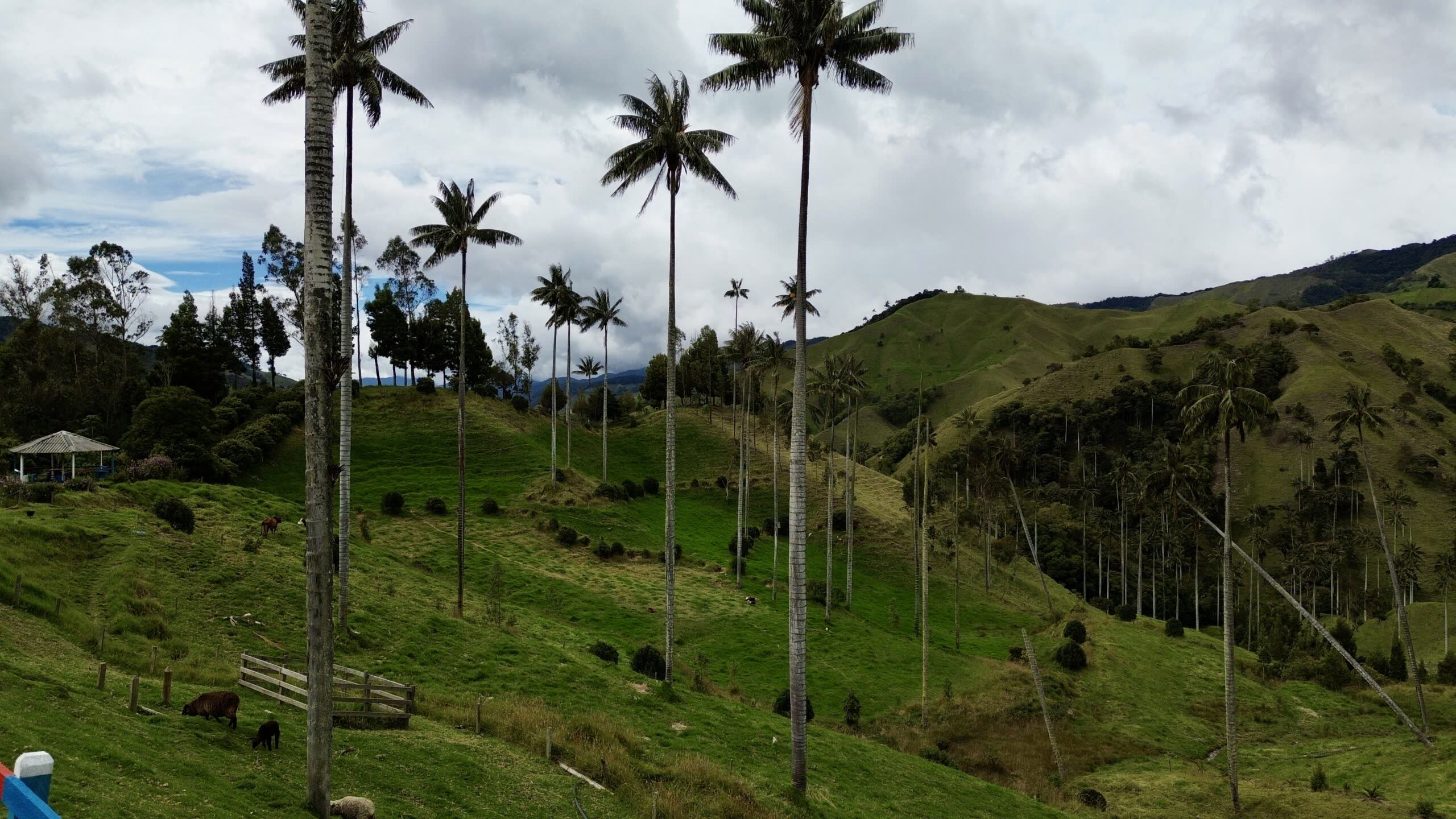 Abierta la convocatoria para empresarios que quieran representar e impulsar el turismo de Caldas en la feria Colombia Travel Expo 2026